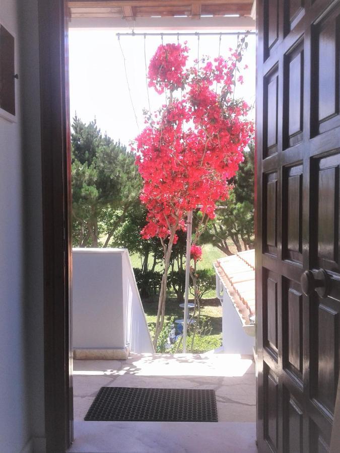 Angela, Seafront Apartments, Almiros *
