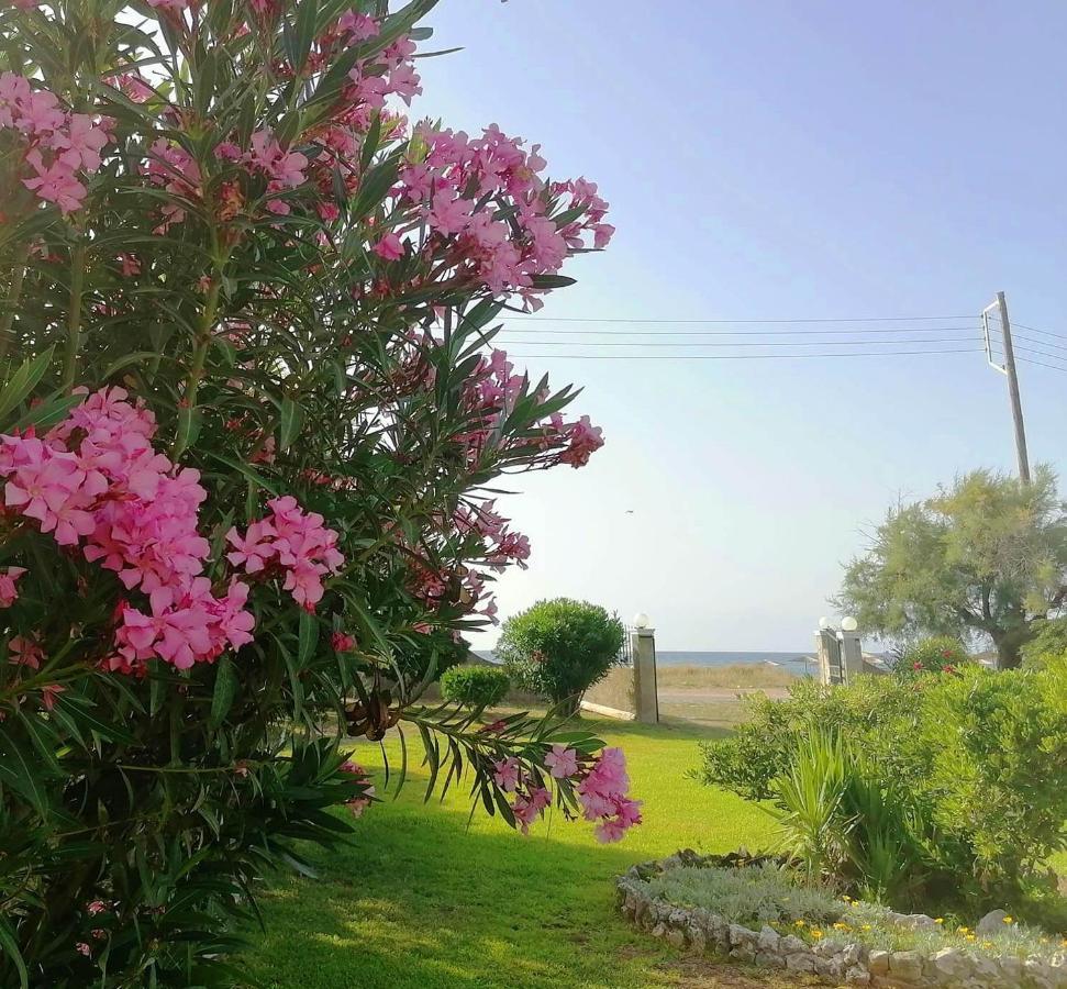 Angela, Seafront Apartments, Almiros